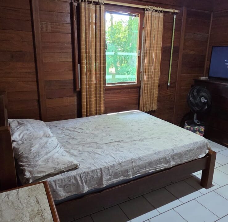 WhatsApp Image 2026-02-19 at 12.27.41